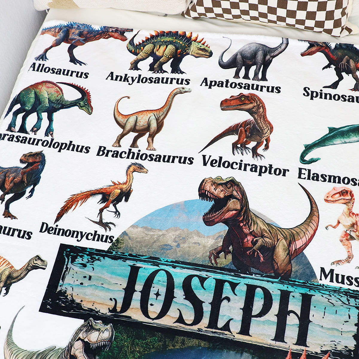 Personalized Assorted Dinosaurs  Adventure Blanket - Customize Your Name