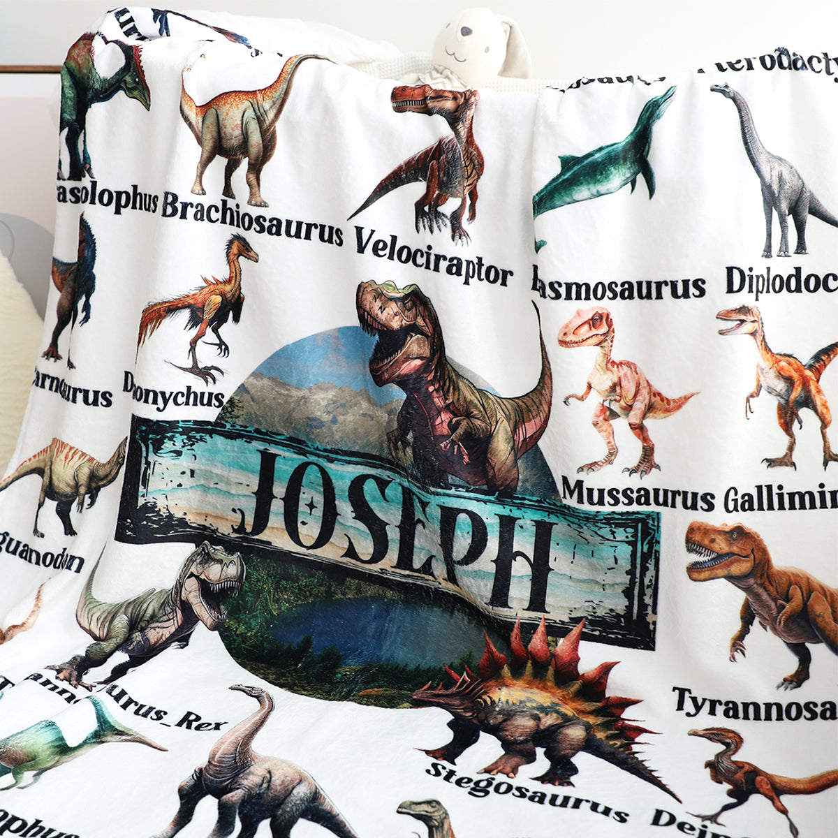 Personalized Assorted Dinosaurs  Adventure Blanket - Customize Your Name