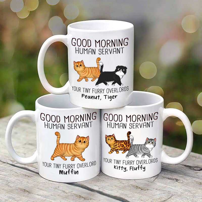 Personalized Funny Cat Lovers Mug: 'Good Morning Human Servant' with Custom Pet Names