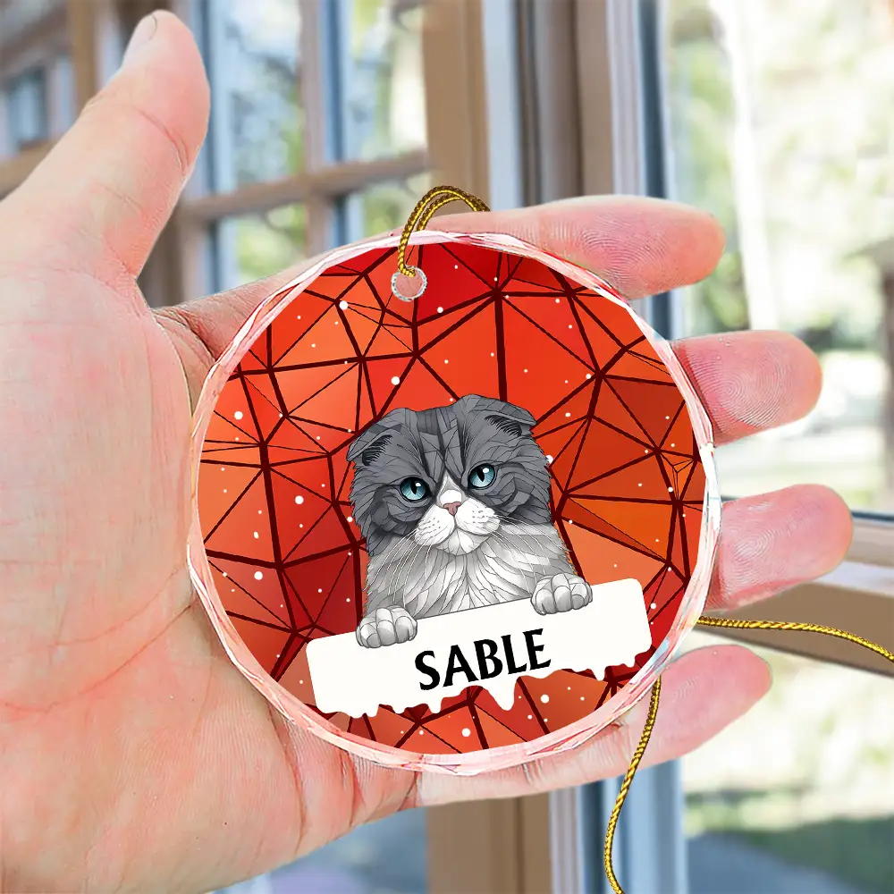 Heartfelt Personalized "Best Friend For Life" Pet Glass Ornament