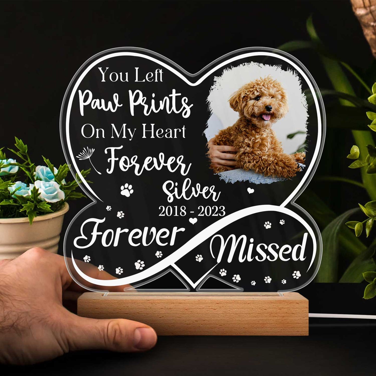 Custom “Forever Missed” Pet Photo Memorial - Personalized 3D Led Light Wooden Base