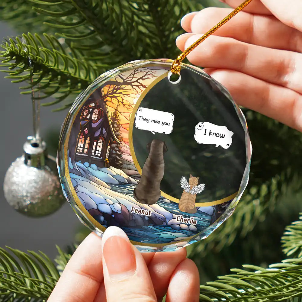 Personalized Pet Memorial For Loved One Glass Suncatcher Ornament - "They Still Talk About You"