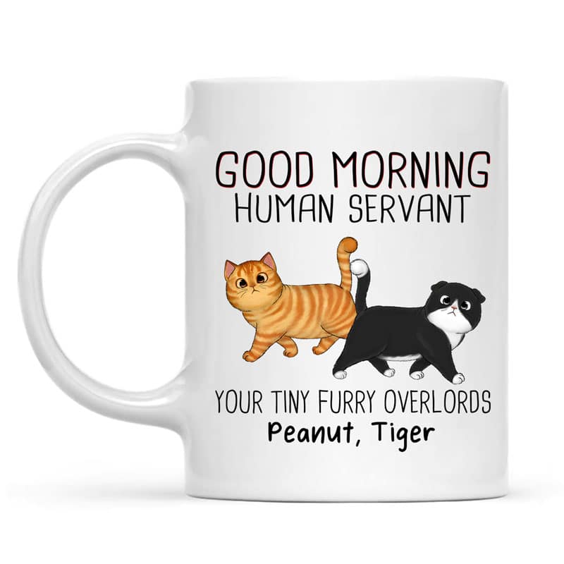 Personalized Funny Cat Lovers Mug: 'Good Morning Human Servant' with Custom Pet Names
