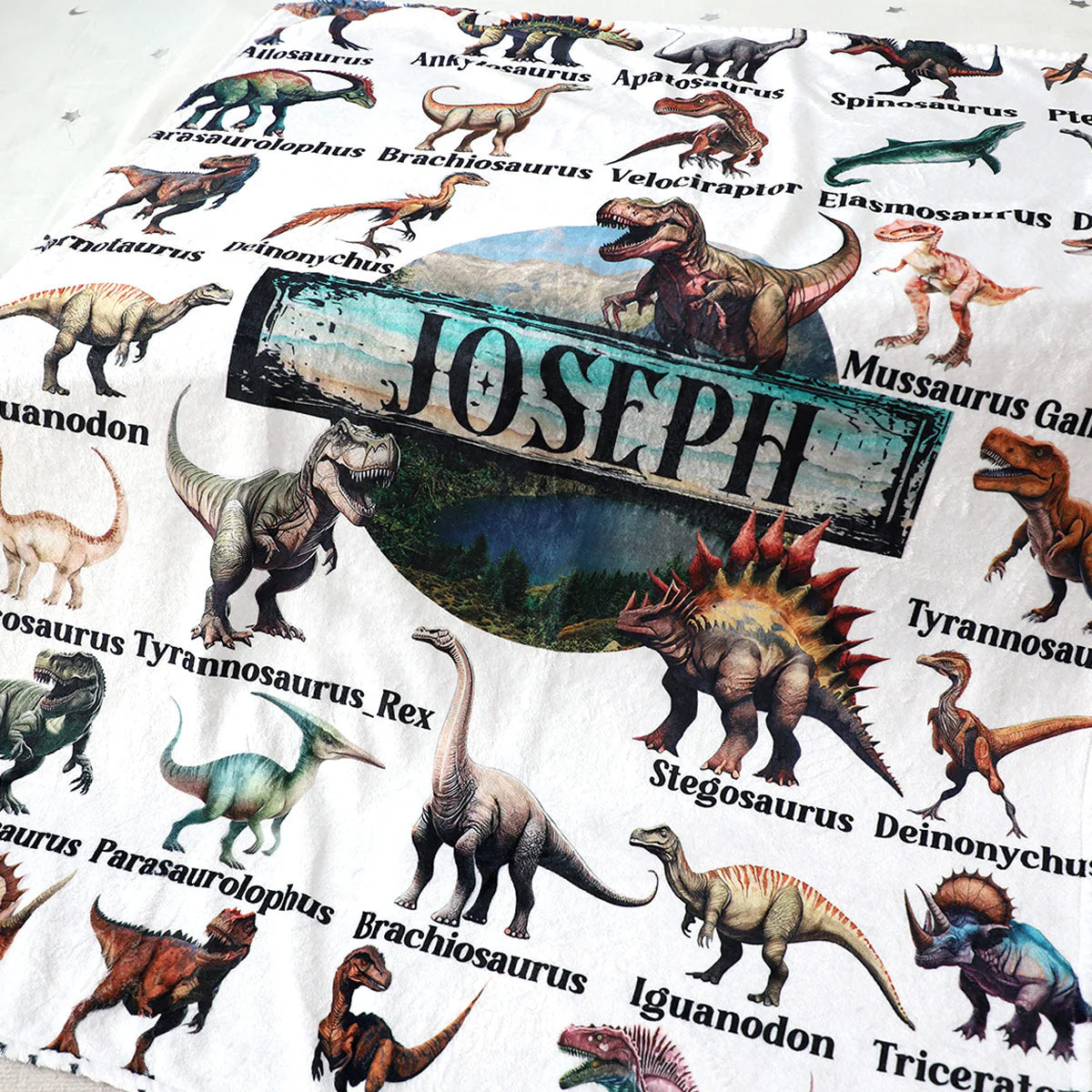 Personalized Assorted Dinosaurs  Adventure Blanket - Customize Your Name