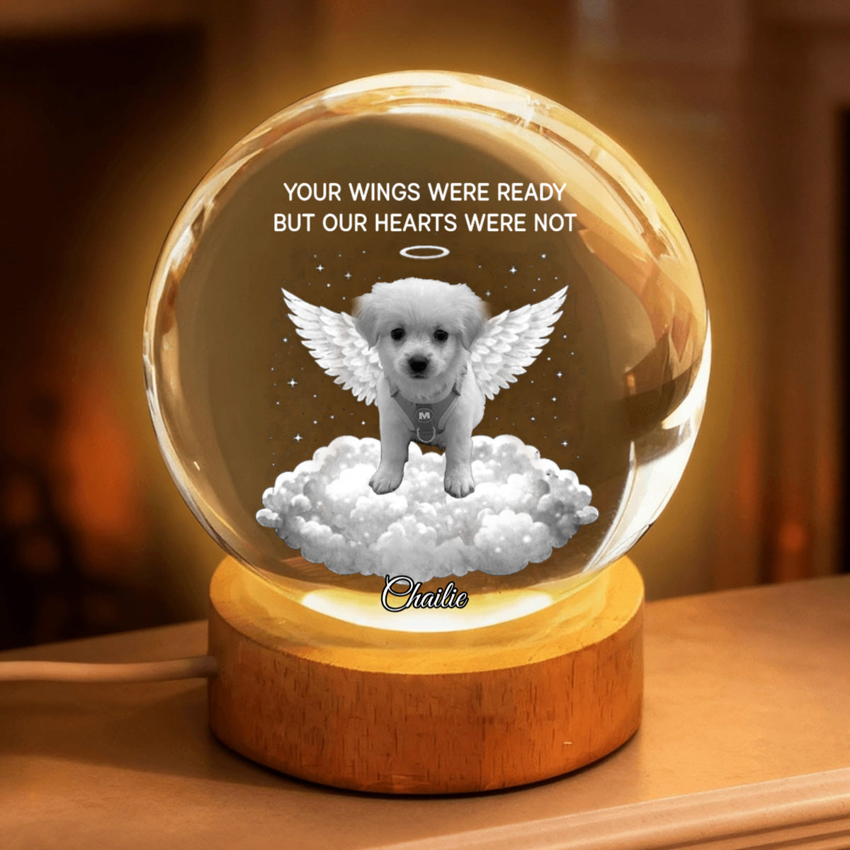 Your Light Will Always Shine in My Heart - Personalized Pet Memorial Crystal Ball LED Night Light