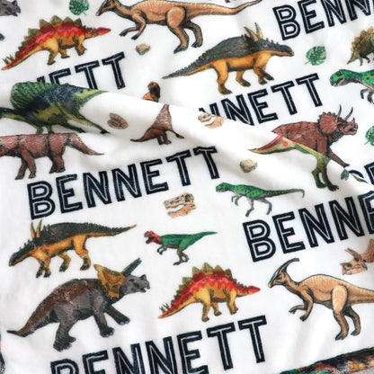 Personalized Children’s Dinosaur Forest Name Blankets