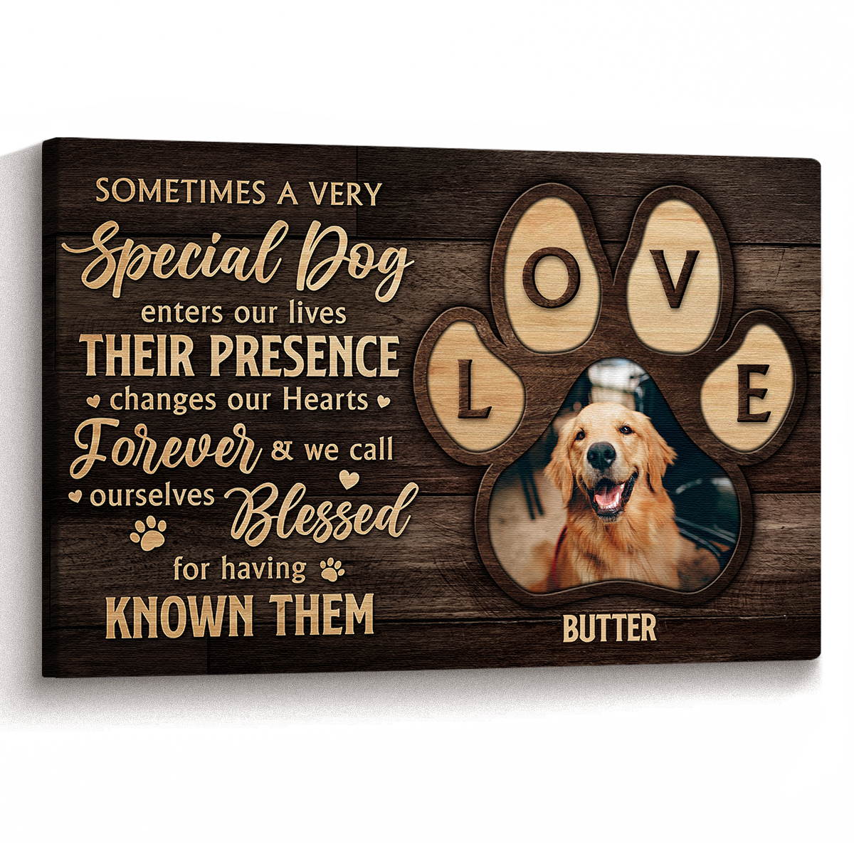 Sometimes A Very Special Dog Enters Your Life - Personalized Customized Pet Lovers Dog Lovers Canvas / Poster