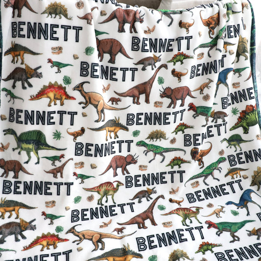 Personalized Children’s Dinosaur Forest Name Blankets