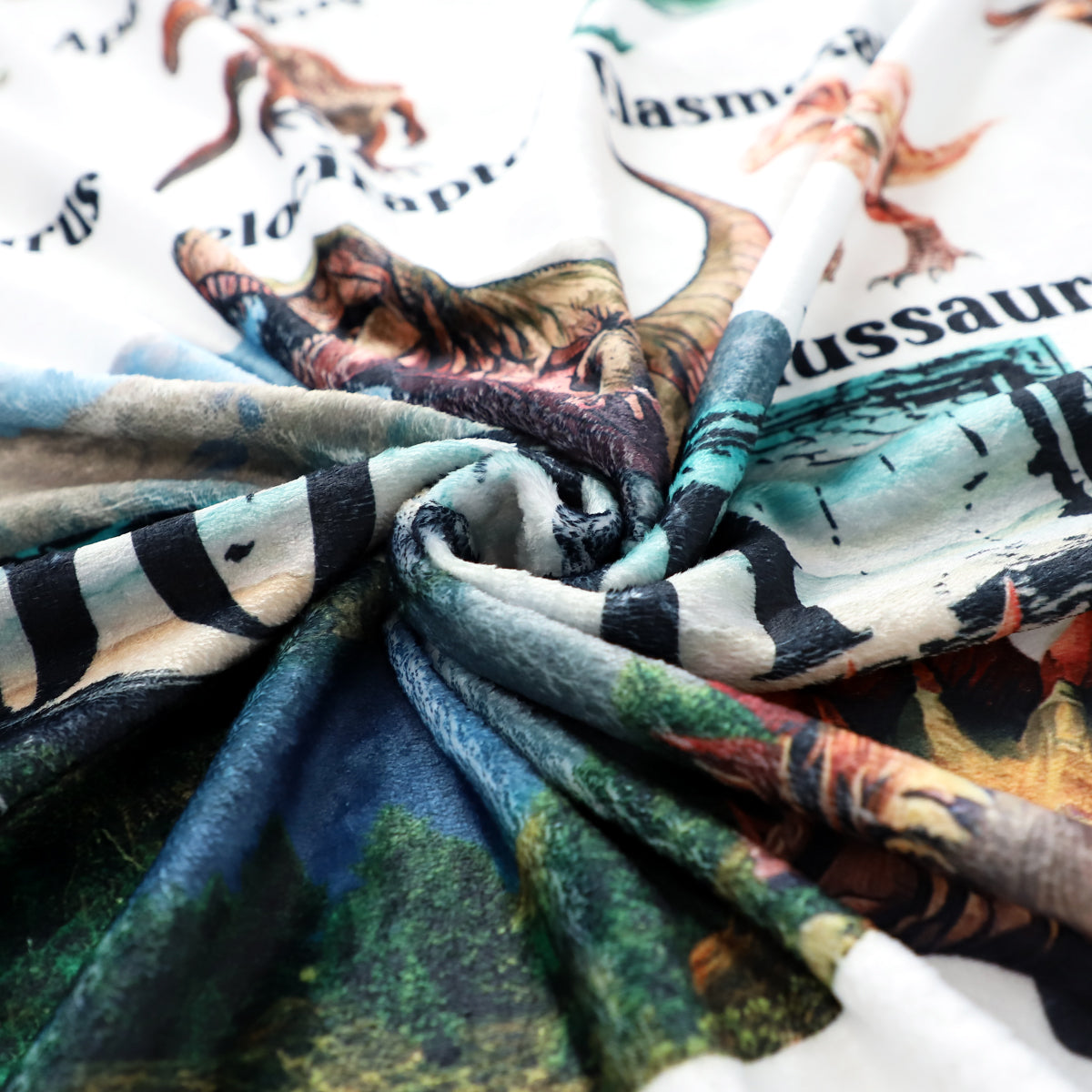 Personalized Assorted Dinosaurs  Adventure Blanket - Customize Your Name