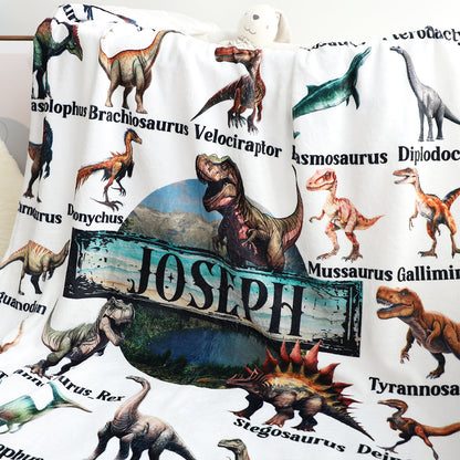 Personalized Assorted Dinosaurs  Adventure Blanket - Customize Your Name
