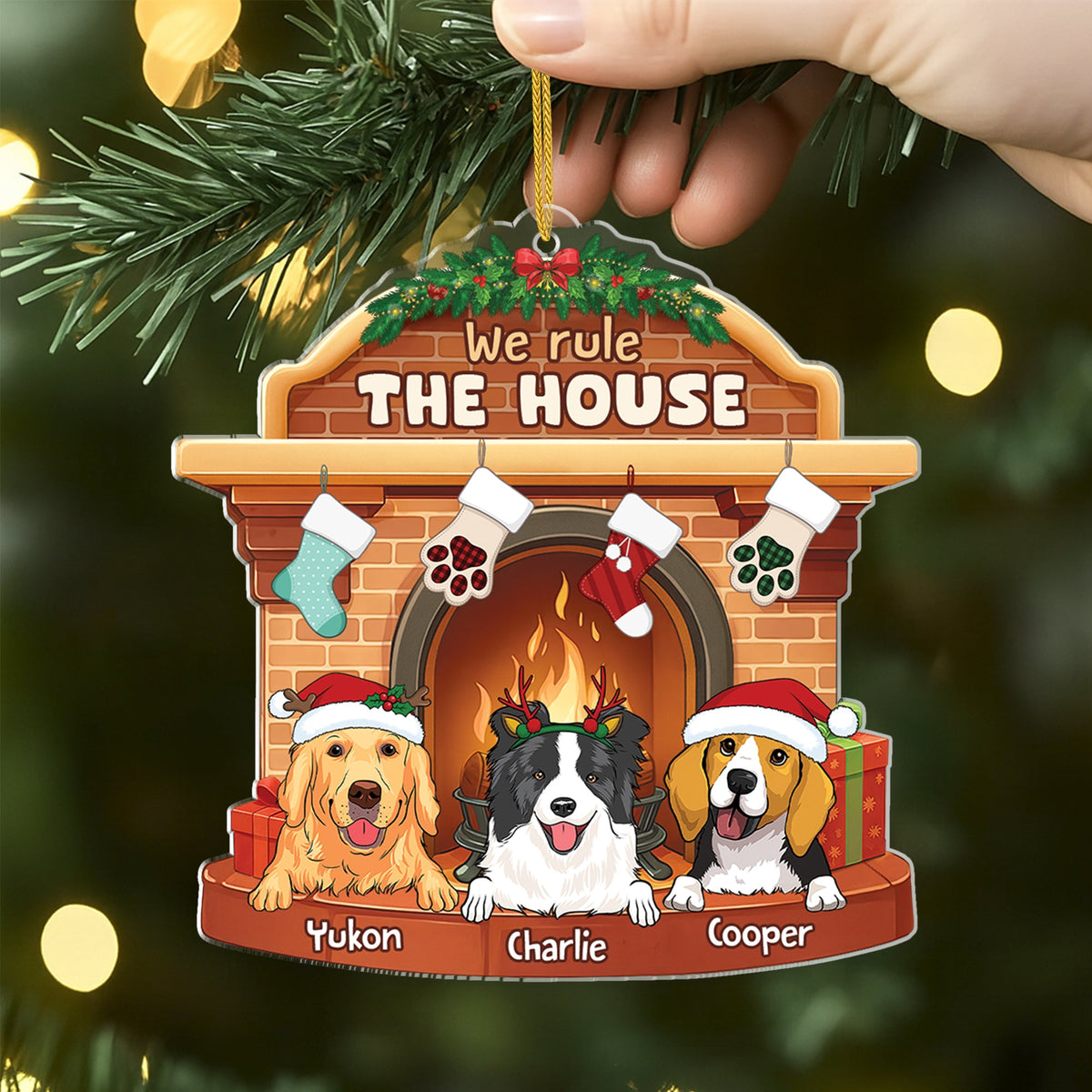 We Rule The House Personalized Pet Acrylic Ornament - Christmas for Cat Lovers