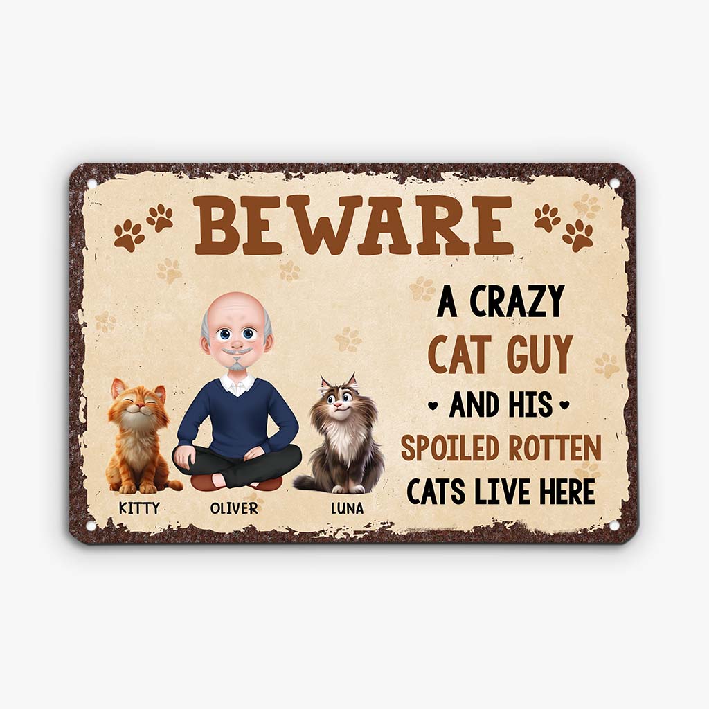 Crazy Cat Lady - Personalised Metal Sign