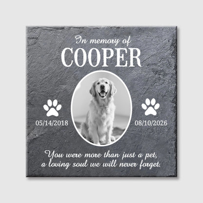 Personalized Pet Memorial Square Canvas - Custom Photo Gift for Dog & Cat Loss