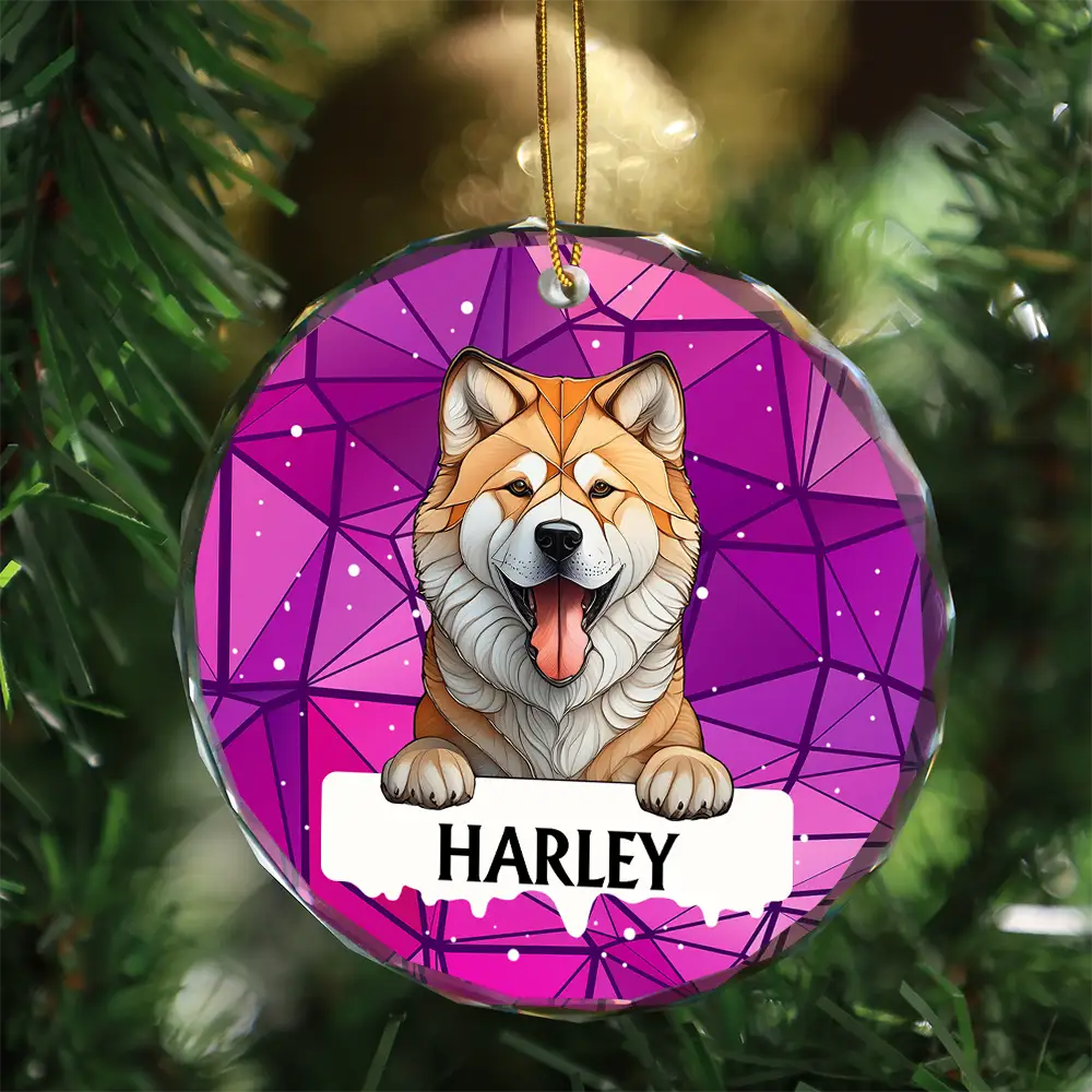 Best Friend For Life Dog Cat Christmas Stained Glass - Personalized Circle Glass Ornament