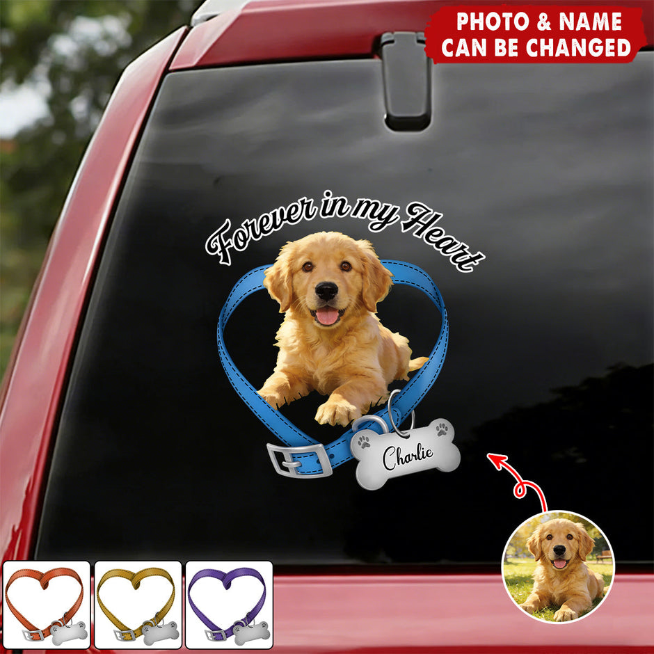 Pet Lover