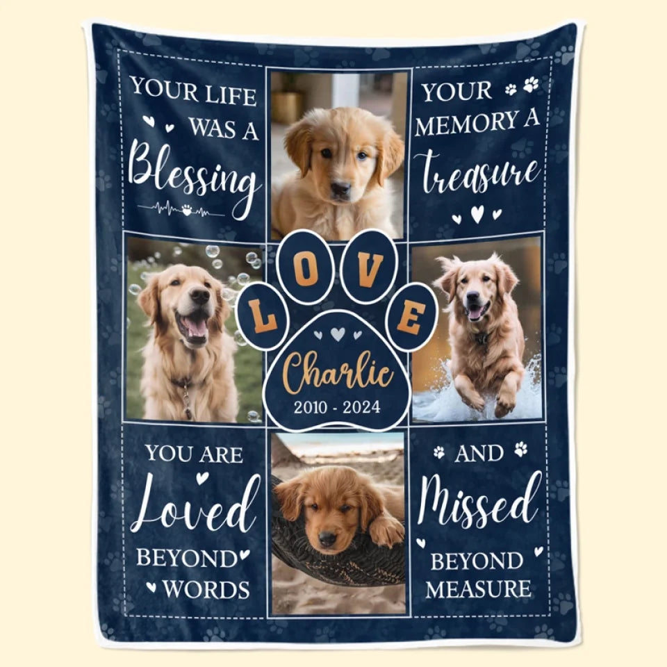 Thanks For Everything I Had A Great Time - Personalized Custom Pet Photo Memorial Blanket