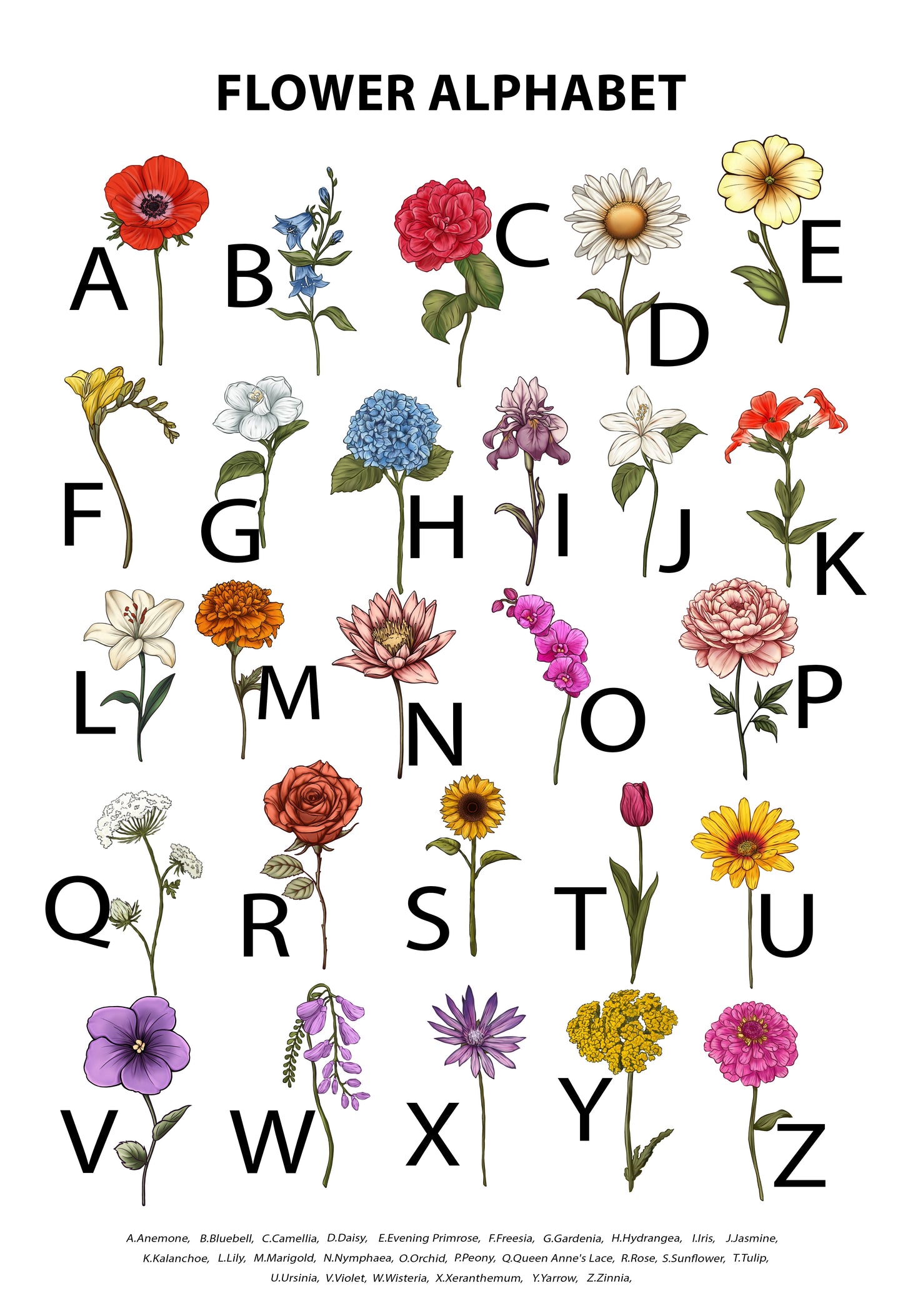 Alphabet Flower A Hug From Me To You - Personalized Fleece Blanket, Sherpa Blanket