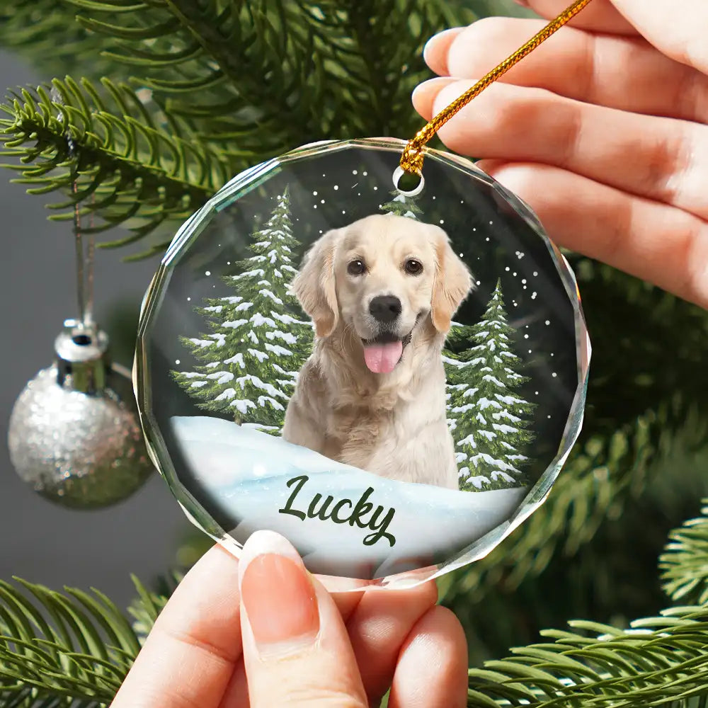 Personalized Custom Pet Photo Glass Ornament - Custom Memorial Gift For Pet Lovers