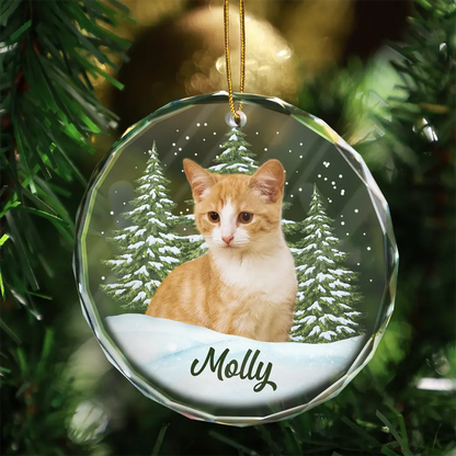 Personalized Custom Pet Photo Glass Ornament - Custom Memorial Gift For Pet Lovers