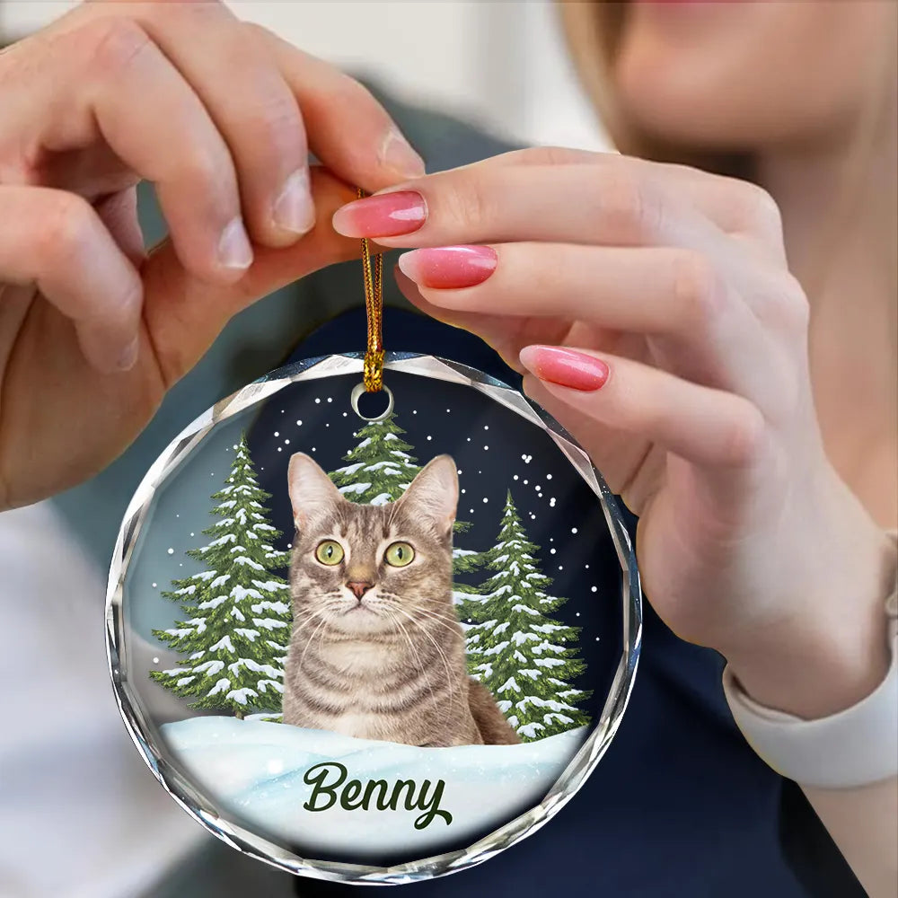 Personalized Custom Pet Photo Glass Ornament - Custom Memorial Gift For Pet Lovers