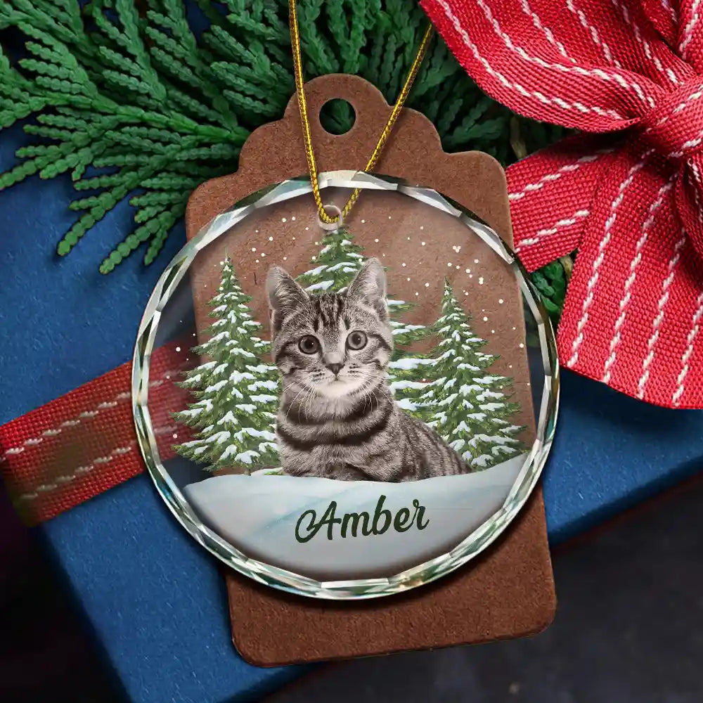 Personalized Custom Pet Photo Glass Ornament - Custom Memorial Gift For Pet Lovers
