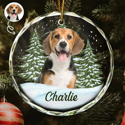 Personalized Custom Pet Photo Glass Ornament - Custom Memorial Gift For Pet Lovers