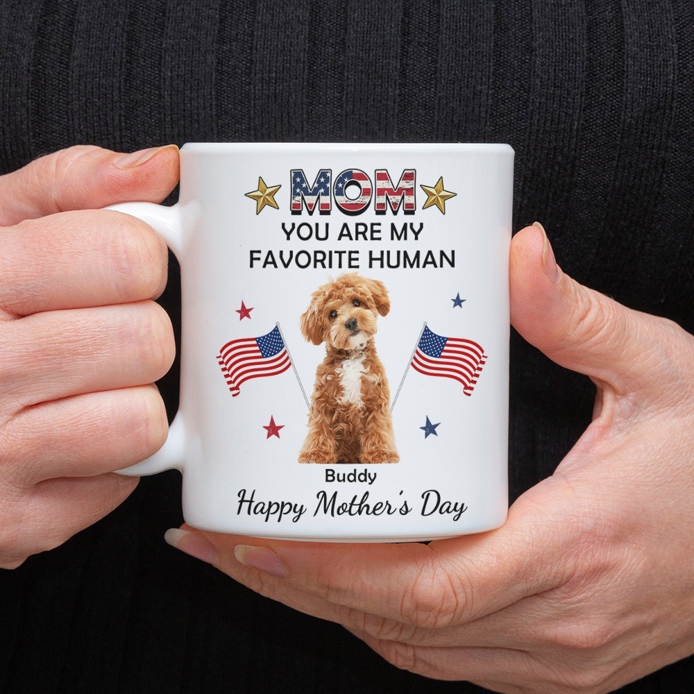 Custom You’re My Favorite Flag America Accent Mug