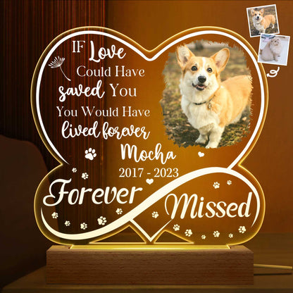 Custom “Forever Missed” Pet Photo Memorial - Personalized 3D Led Light Wooden Base