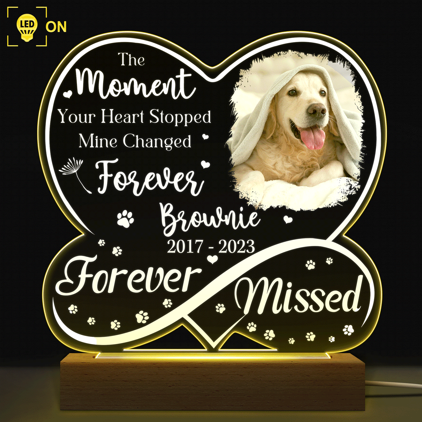 Custom “Forever Missed” Pet Photo Memorial - Personalized 3D Led Light Wooden Base