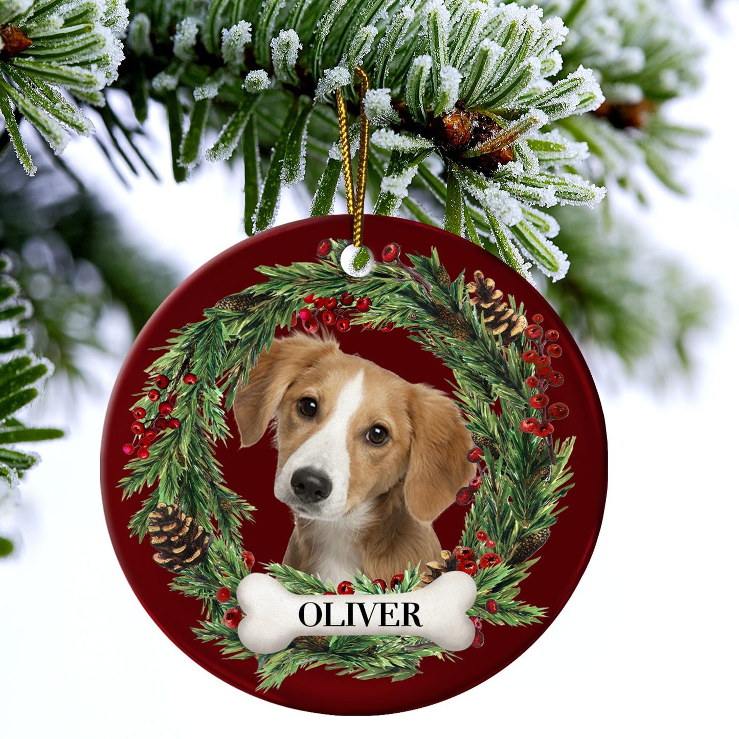 Custom Photo Lovely Pet Face - Christmas Gift For Pet Lovers, Pet Memorial - Personalized Circle Ceramic Ornament