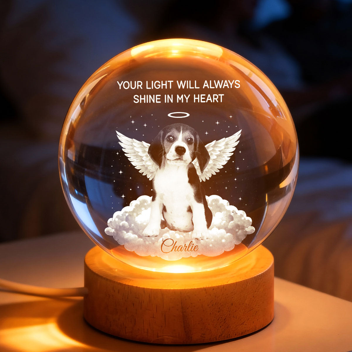 Your Light Will Always Shine in My Heart - Personalized Pet Memorial Crystal Ball LED Night Light