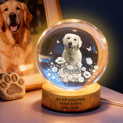 Custom Pet Portrait Crystal Ball LED Night Light - Personalized Memorial Gift for Pet Lovers