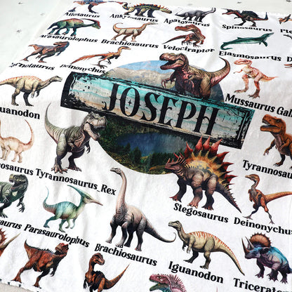 Personalized Assorted Dinosaurs  Adventure Blanket - Customize Your Name