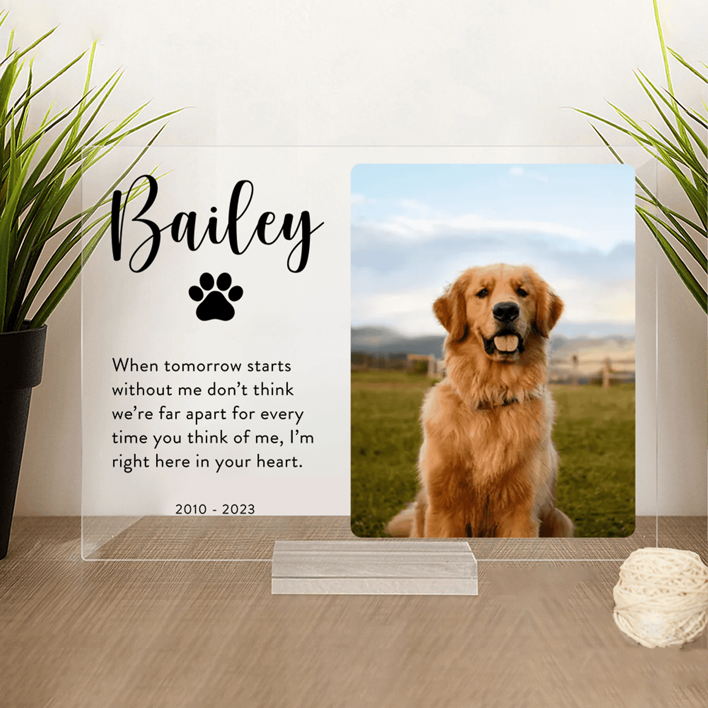 Plaque material and size view - Personalized Dog Memorial Plaque