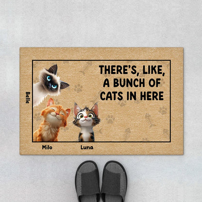 "There's Like A Bunch Of Cats In Here" Personalized Doormat - Custom Housewarming Welcome Mat for Cat Lovers