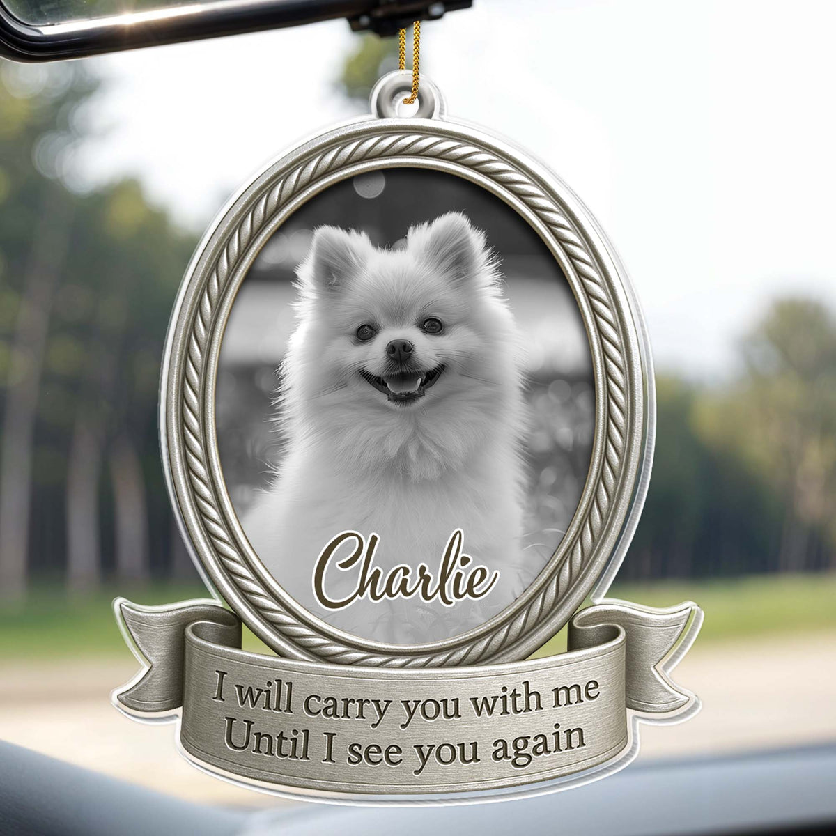 I Will Carry You With Me Until I See You Again, Dog Memorial