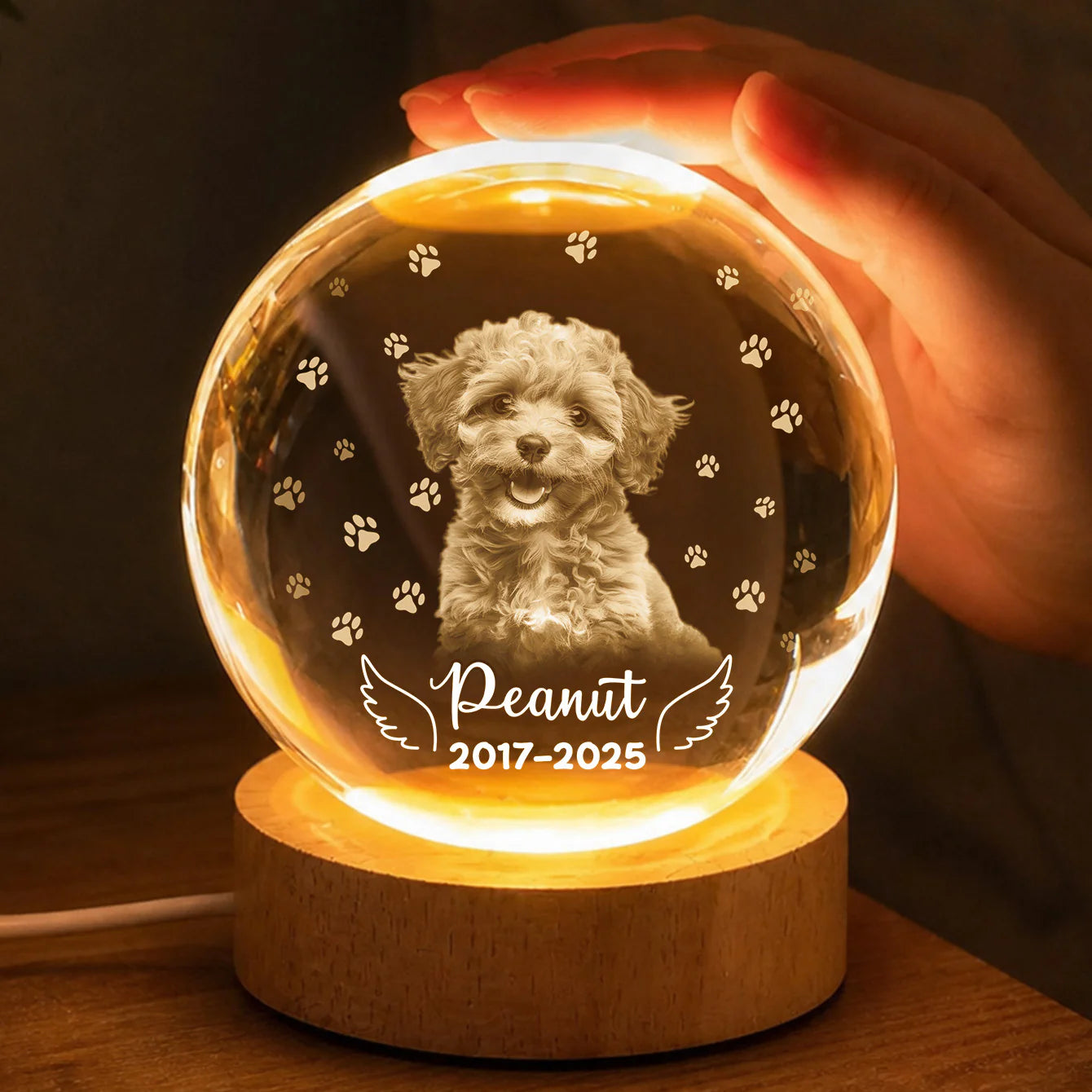 Personalized dog memorial gift crystal ball night light with custom photo print and angel wings