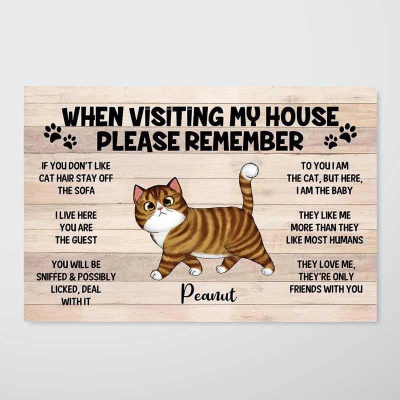 "When Visiting My House Please Remember" Custom Cat Wall Art Canvas / Poster - Personalized Rules Gift for Cat Lovers