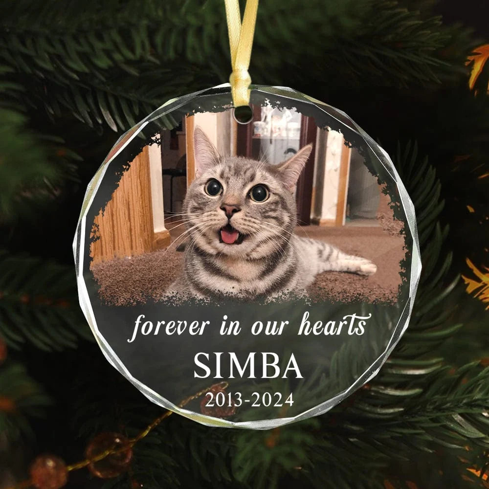 PRINTS10 Custom Photo and Name Cat Memorial Glass Ornament Forever in Our Heart HO82 891783 8cm