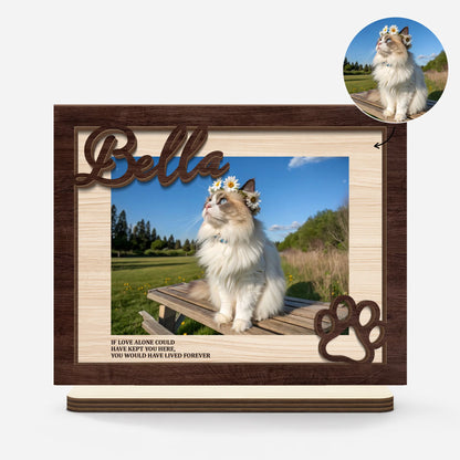 Custom Pet Memorial Gifts for Cat Lovers with personalized design details for meaningful gifting