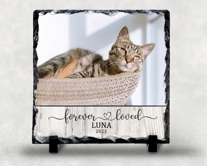 Plaque gift-ready design for Dog Lovers