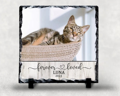 Plaque gift-ready design for Dog Lovers