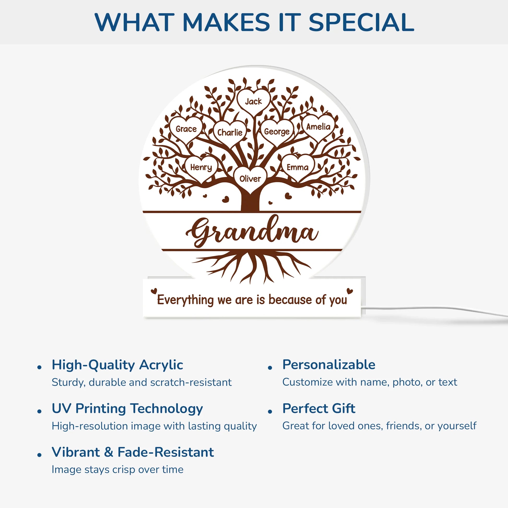 Everything We Are Because of You - Personalized Family Tree Acrylic Light Box for Grandma