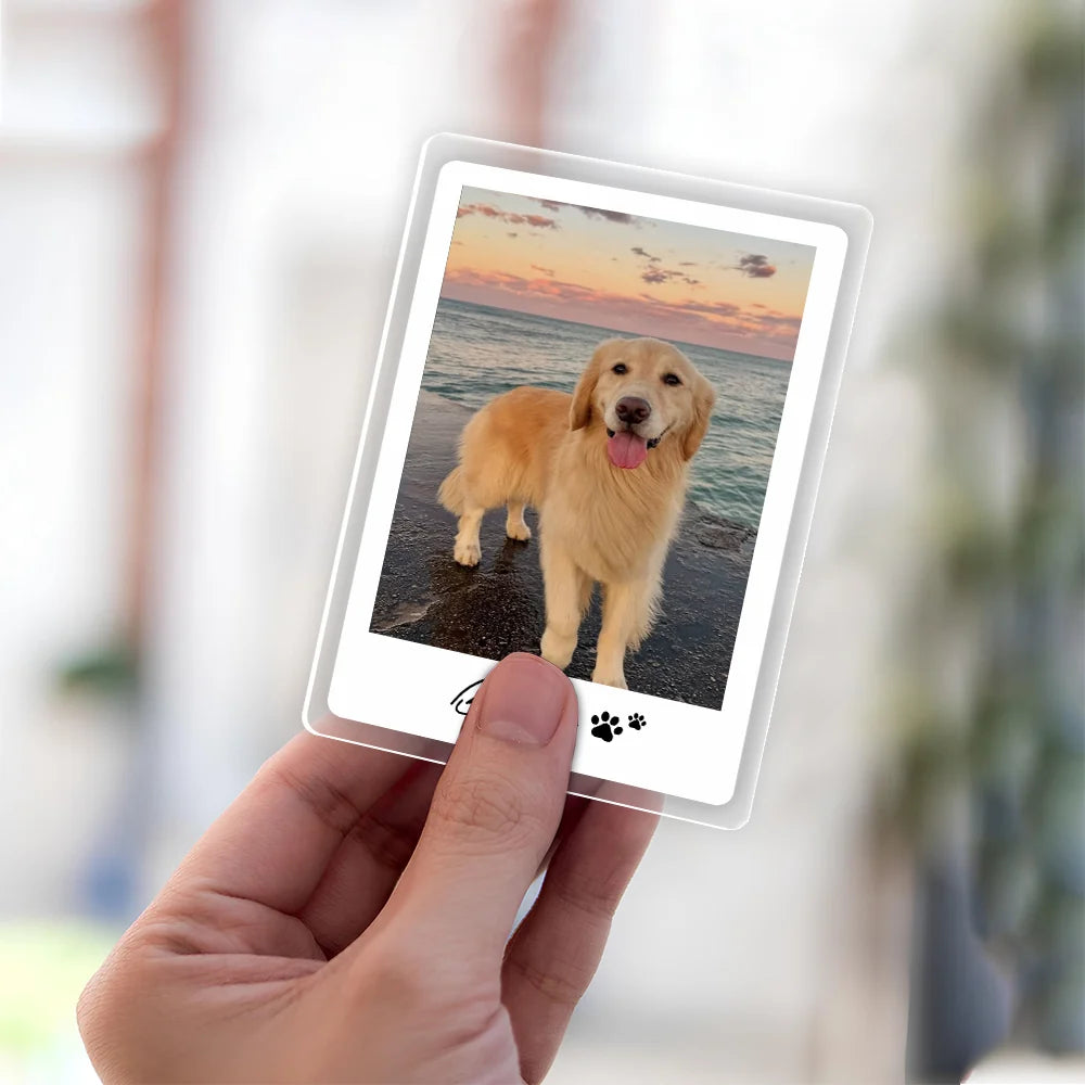 Custom Pet Photo Acrylic Car Visor Clip - Personalized Dog & Cat Lover Keepsake Gift
