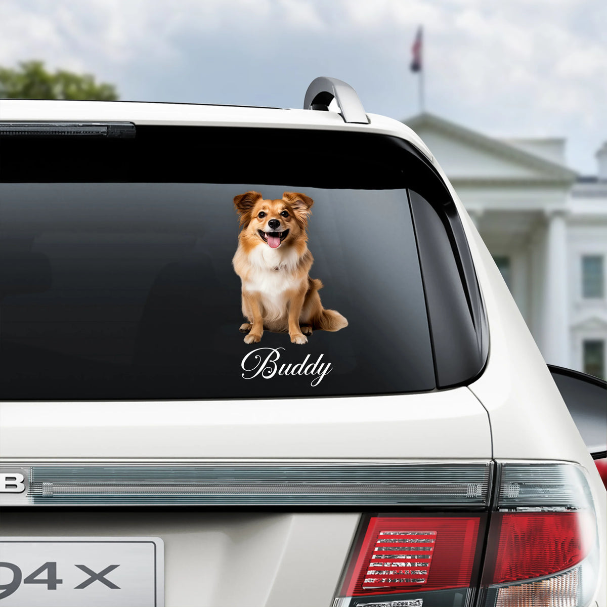 Custom Pet Photo Window Decal - Personalized Dog & Cat Car Sticker for Pet Lovers