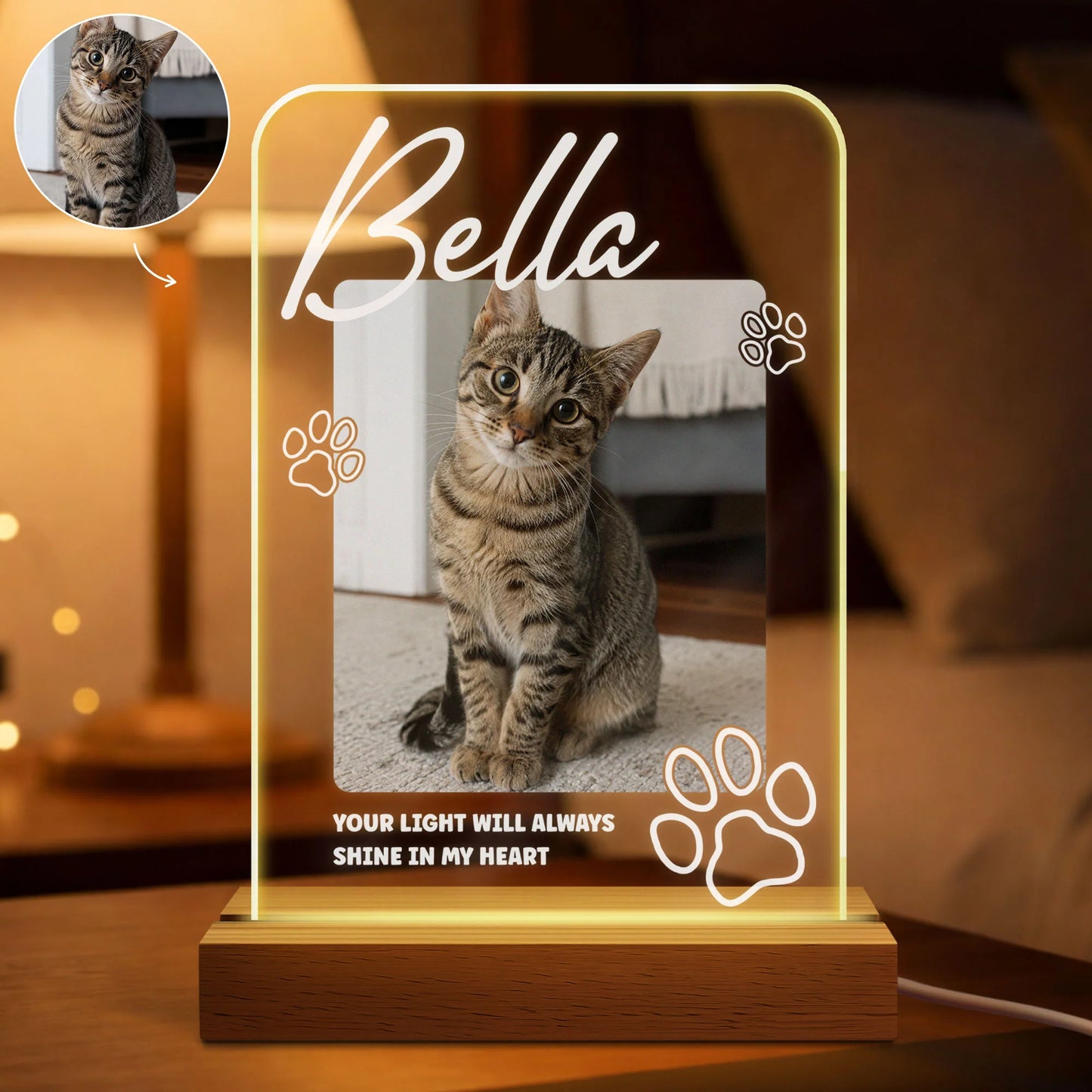 Custom Pet Memorial Led Night Light personalization view for Dog Lovers