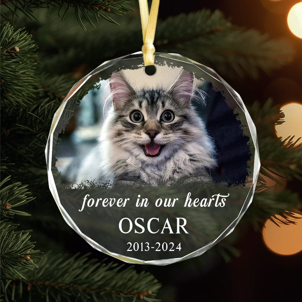 PRINTS10 Custom Photo and Name Cat Memorial Glass Ornament Forever in Our Heart HO82 891783 8cm