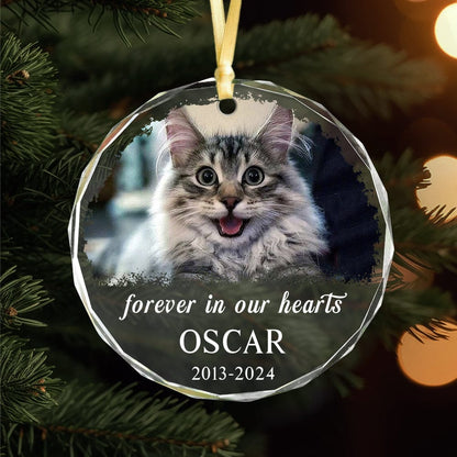 PRINTS10 Custom Photo and Name Cat Memorial Glass Ornament Forever in Our Heart HO82 891783 8cm