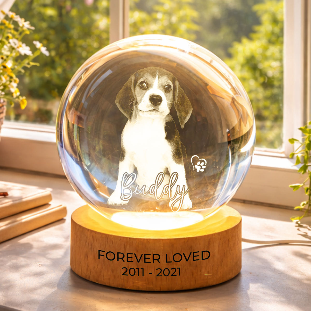 Personalized Pet Photo Memorial Crystal Ball LED Night Light - Custom Gift for Pet Lovers